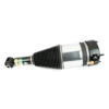 Arnott AS-3801 Rear Left Air Strut BMW 5-Series Touring/6 Series GT (G31/G32) -Shockwarehouse Shop AS 3801 v4 20230523