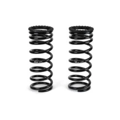 Arnott C-2203 Rear Coil Spring Conversion Kit Land Rover Discovery II (L318)