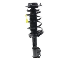 KYB SR4664 Front Left Strut-Plus Strut And Coil Spring Assembly Hyundai Elantra -Shockwarehouse Shop SR4664 ANG 3